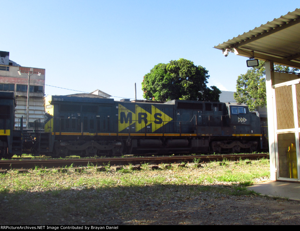 MRSL 3916